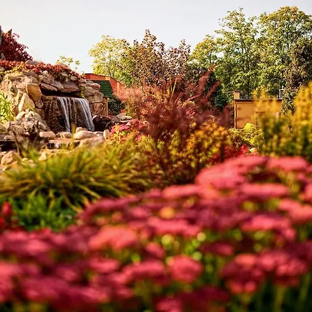 Ośrodek Wypoczynkowy Star * Łeba